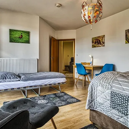 Amelie Apartment Wenzenbach